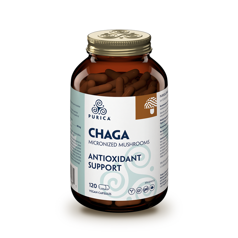 Chaga