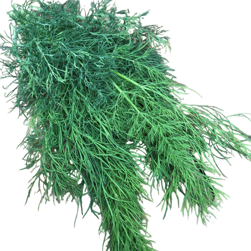 Organic Dill