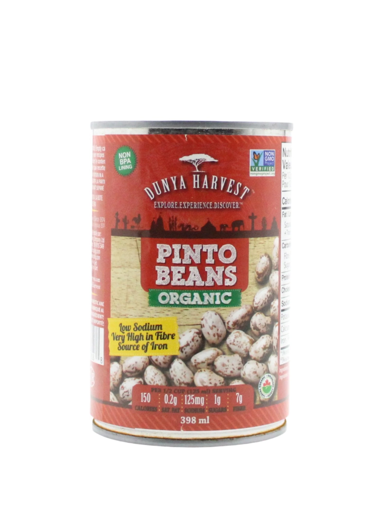 Organic Pinto Beans