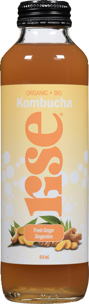 Organic Ginger Kombucha