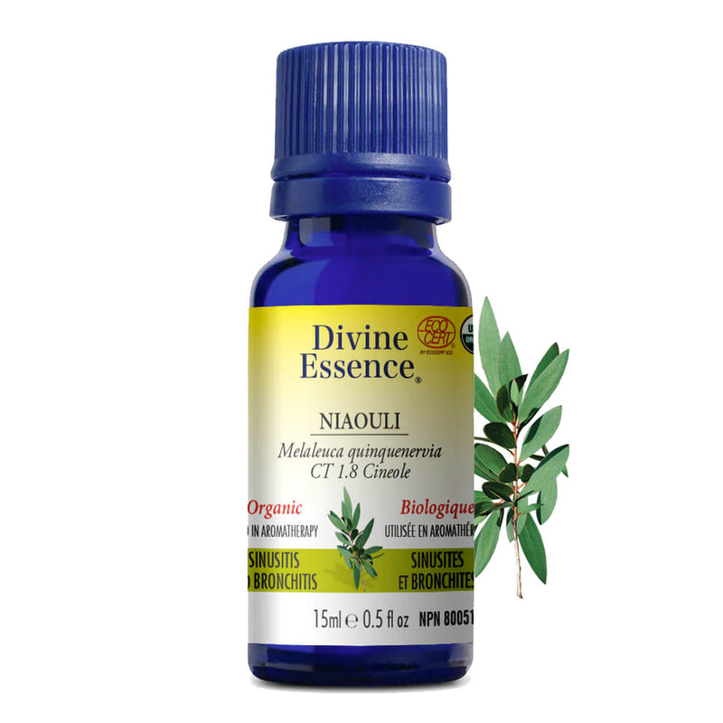 Organic Niaouli Essential Oil