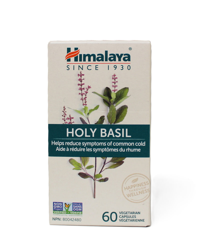 Holy Basil