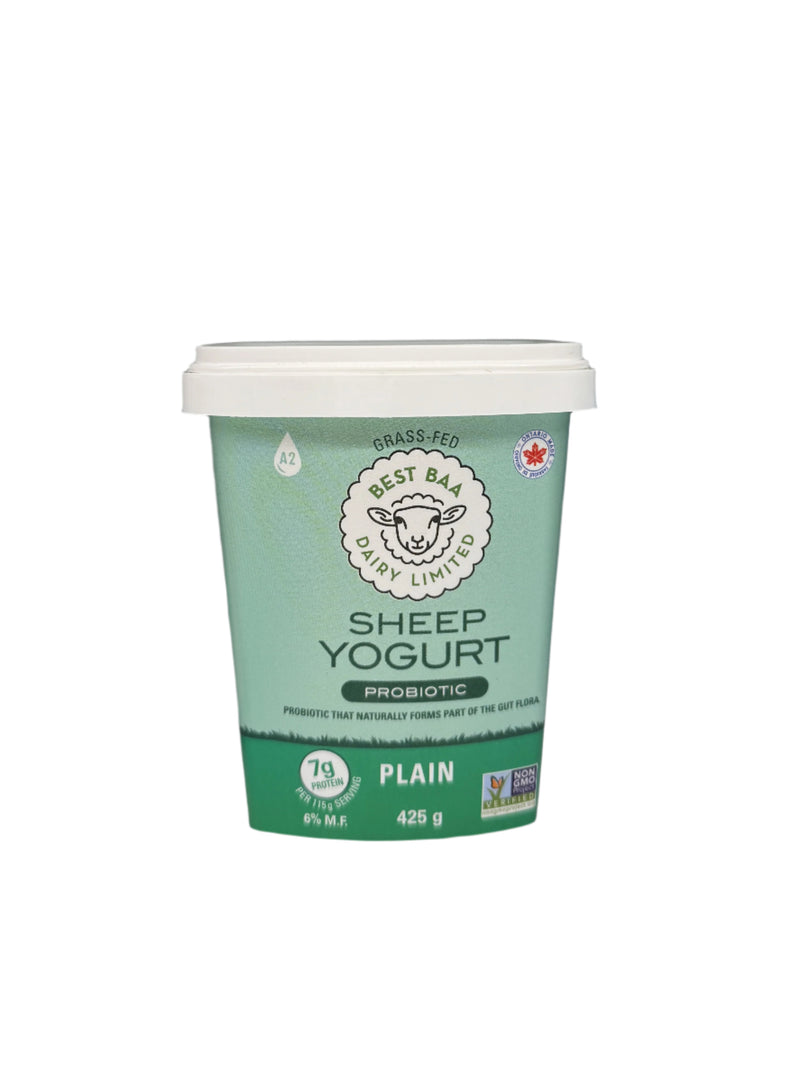 Plain Probiotic Sheep Yogurt