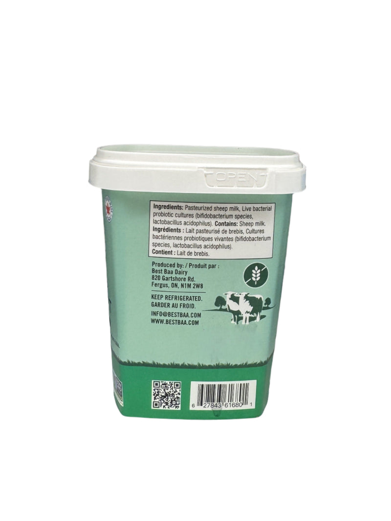 Plain Probiotic Sheep Yogurt