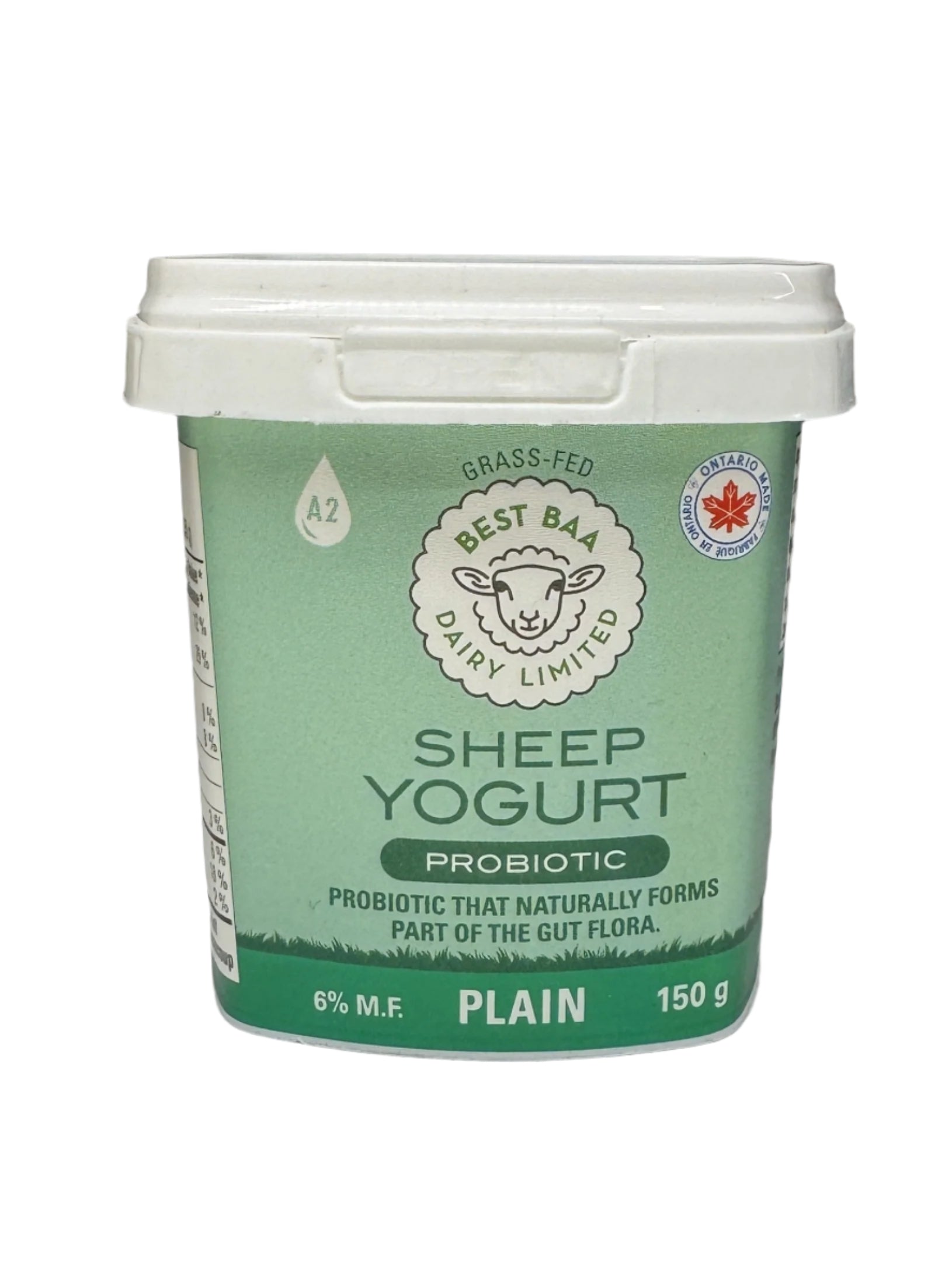 Plain Sheep Milk Yogurt