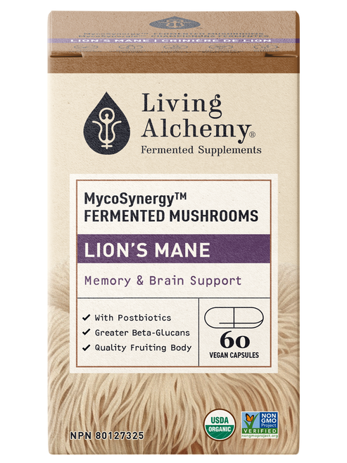 Mycosynergy Fermented Lion's Mane