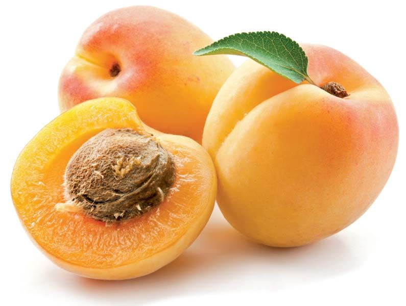 Organic Apricots