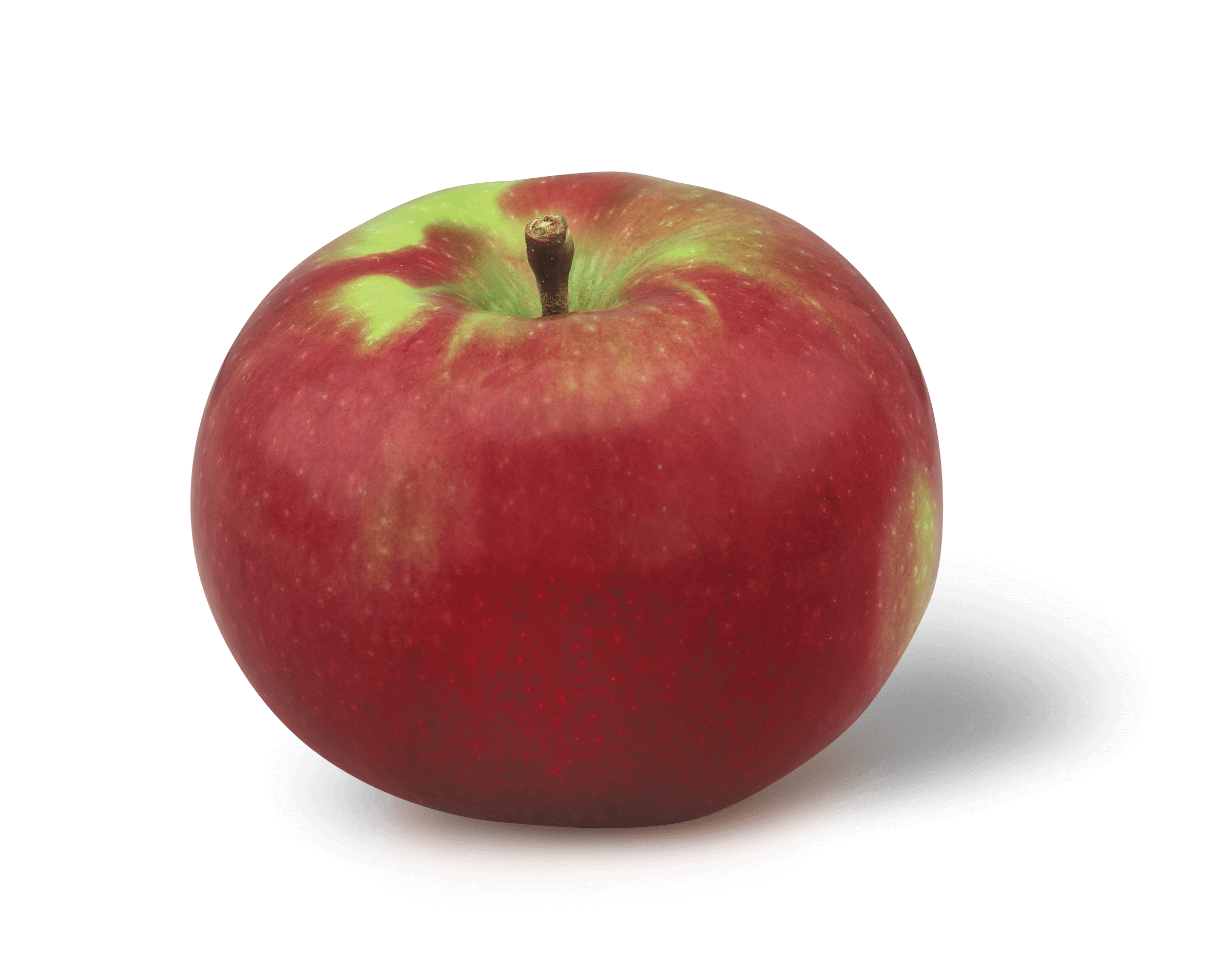 Organic McIntosh Apples