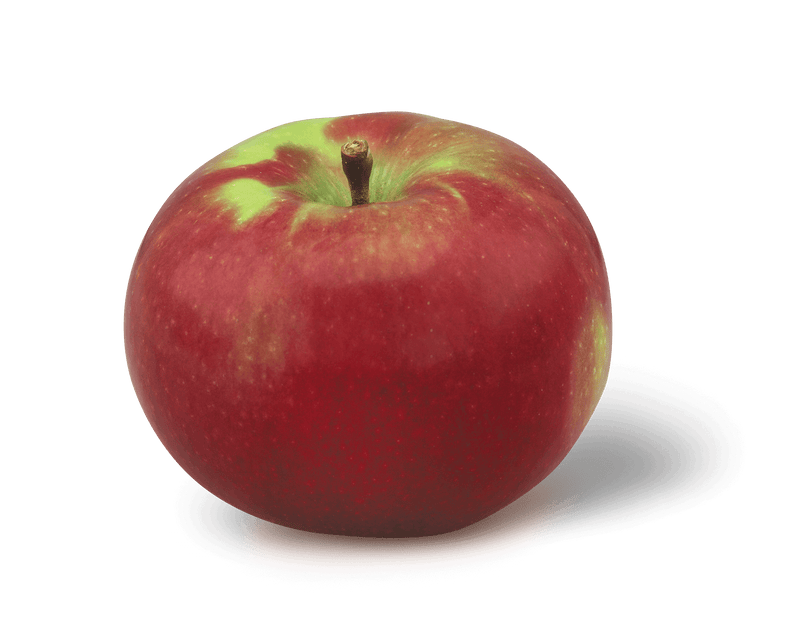 Organic McIntosh Apples