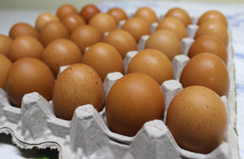 Pastured Brown Eggs