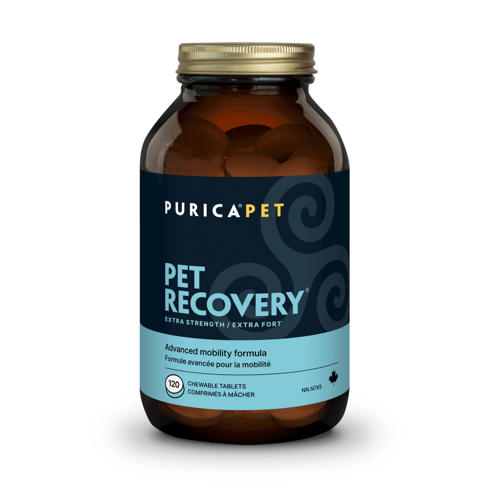 Extra Strength Pet Recovery