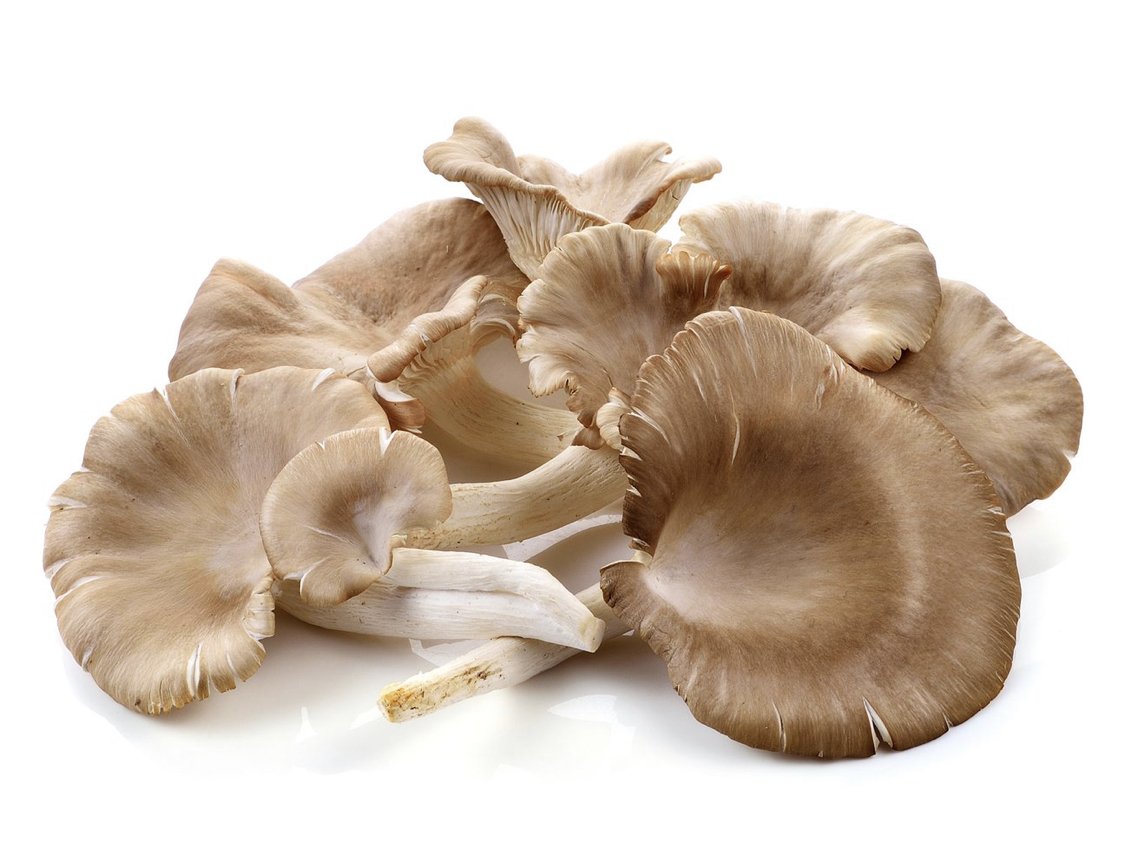 Produce Organic Whole Oyster Mushrooms Package