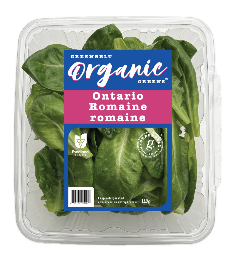 Organic Ontario Romaine Lettuce