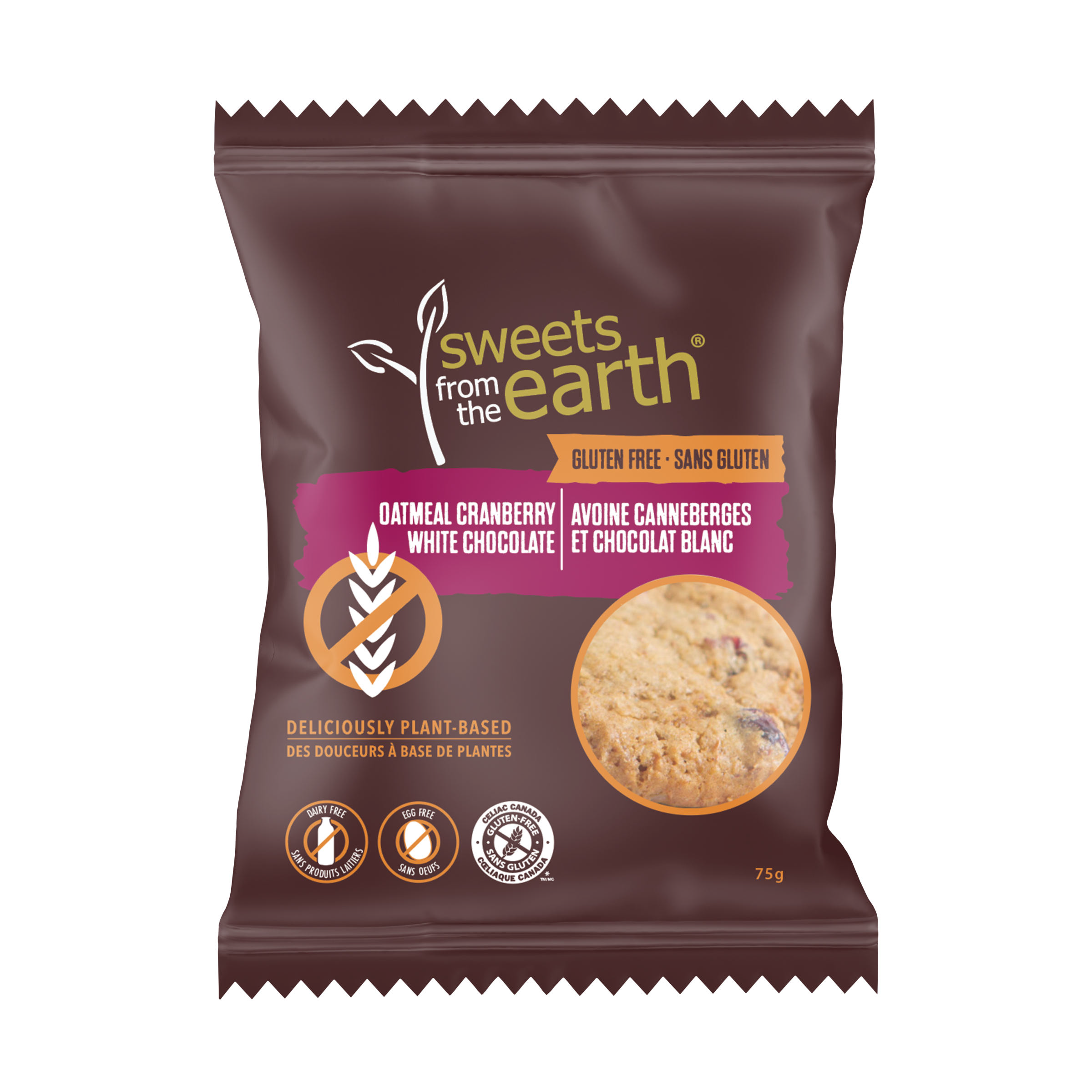 Gluten Free Oatmeal Cranberry White Chocolate Cookie