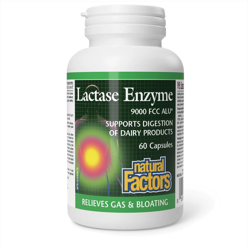 Lactase Enzymes