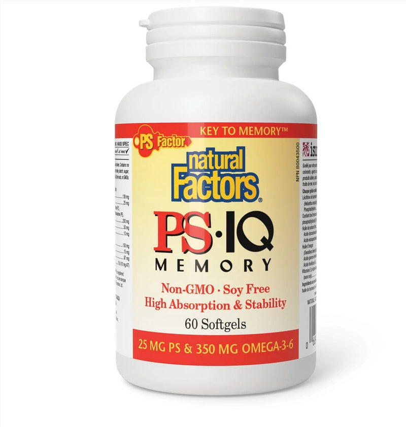 PS IQ Memory