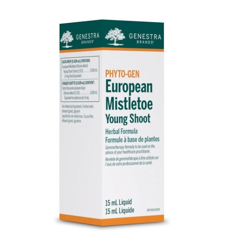 European Mistletoe Young Shoot