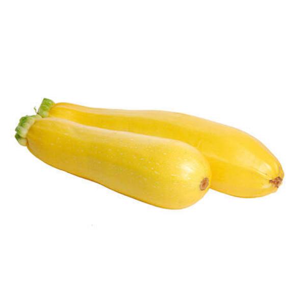 Organic Straightneck Squash