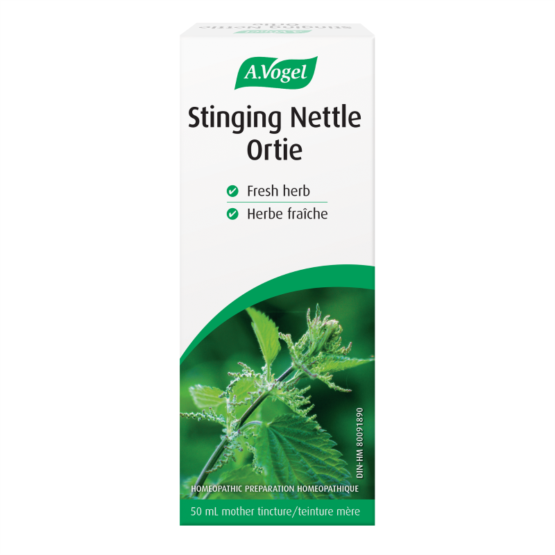 Stinging Nettle