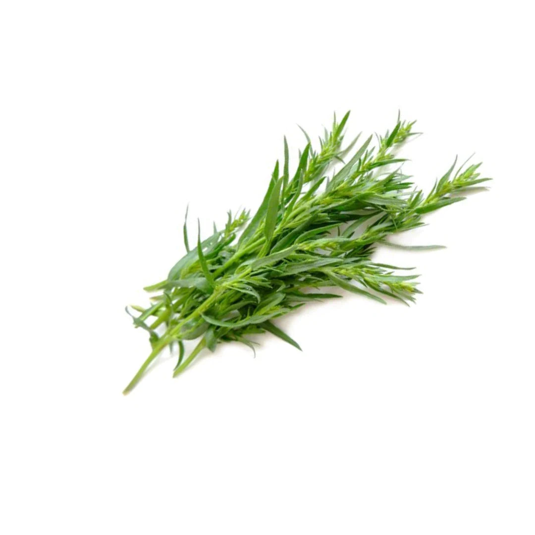 Produce Organic Tarragon