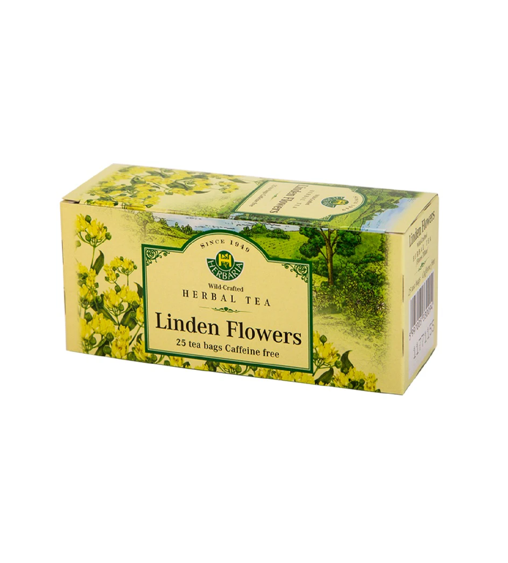 Linden Flowers Tea