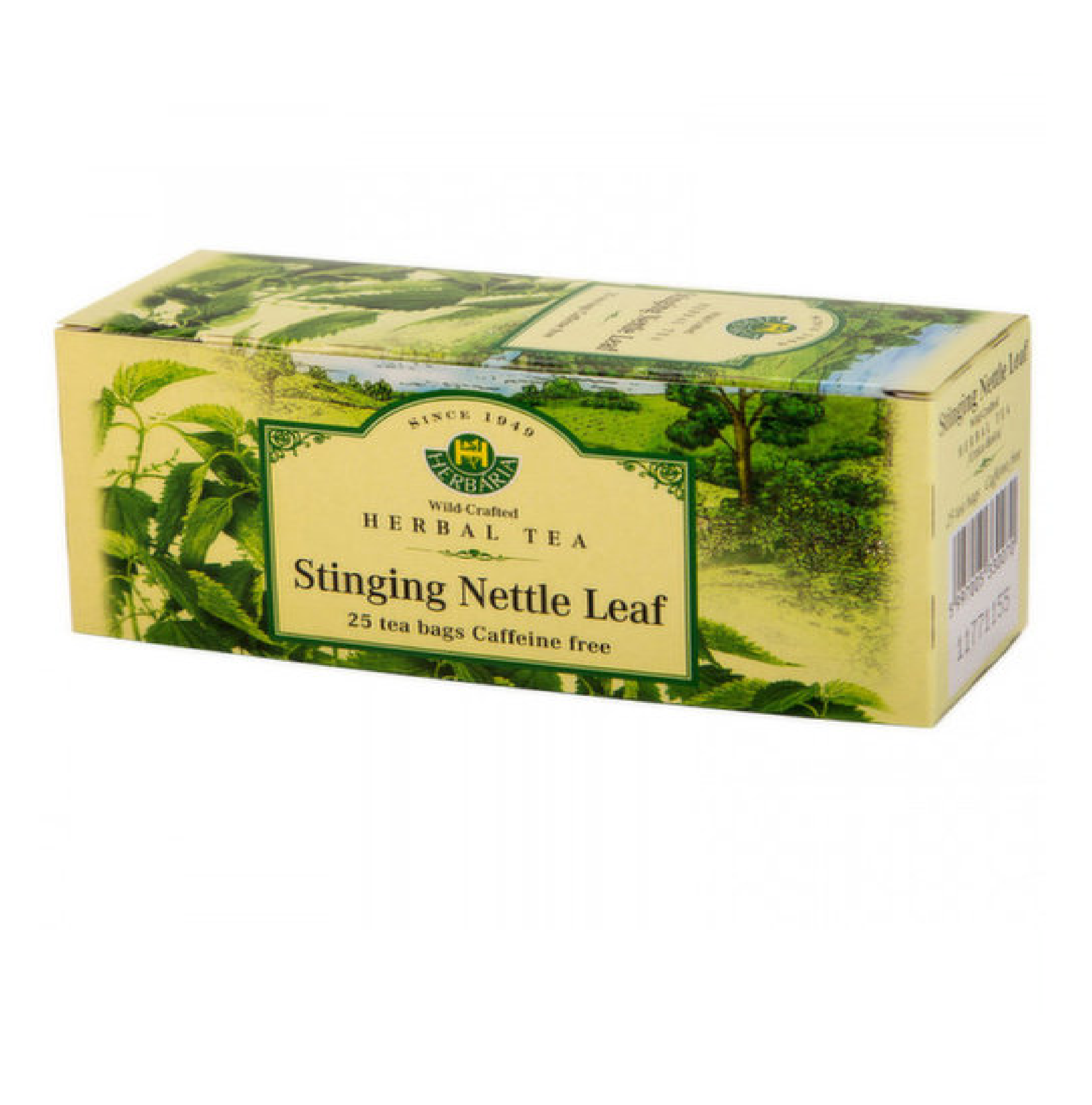 Stinging Nettle Tea