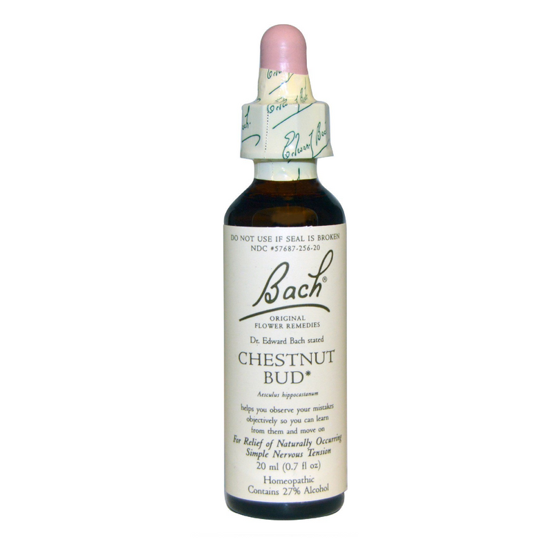 Chestnut Bud Essences