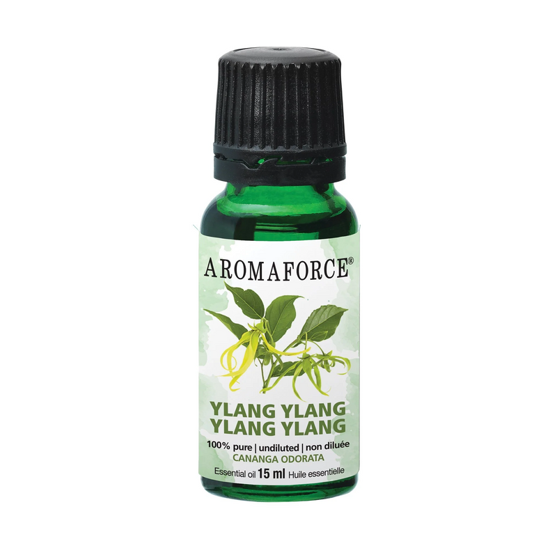 Ylang Ylang Oil