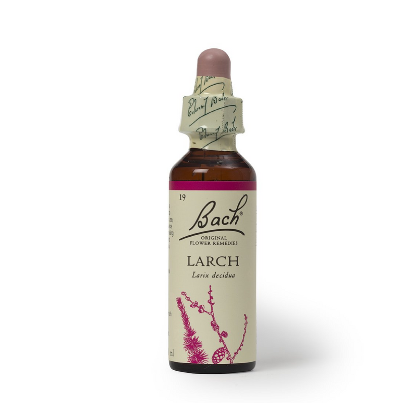 Larch Essences