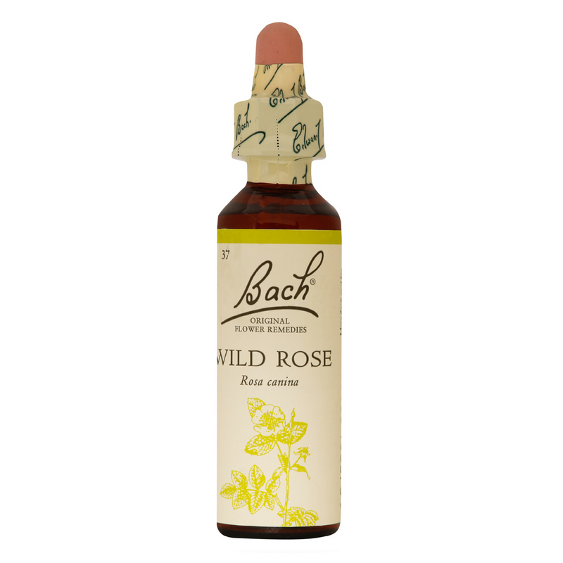 Wild Rose Essences