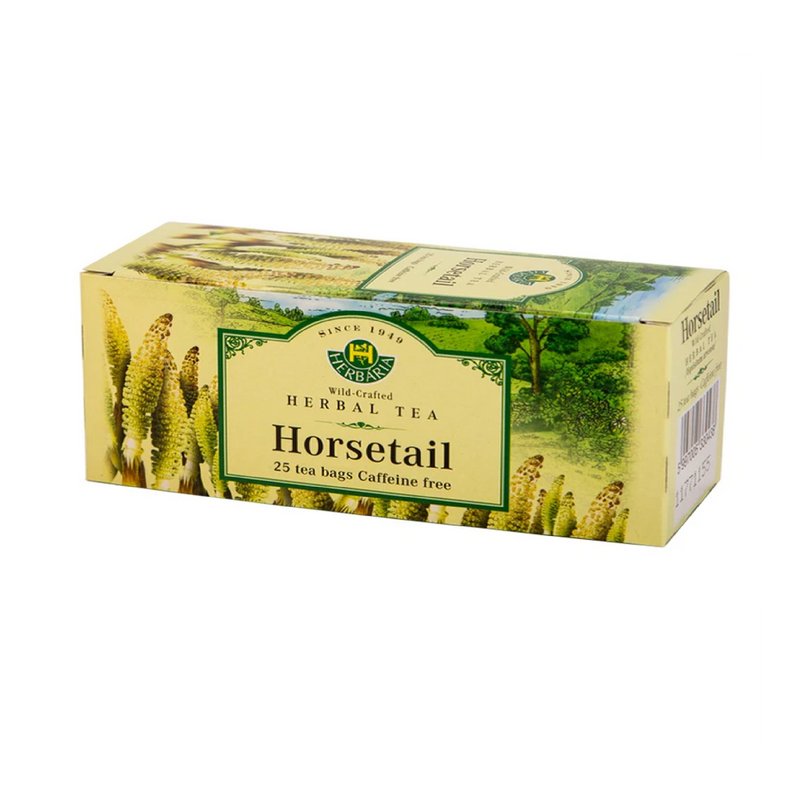 Horsetail Tea