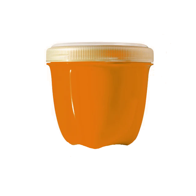 Orange Snack Size Container