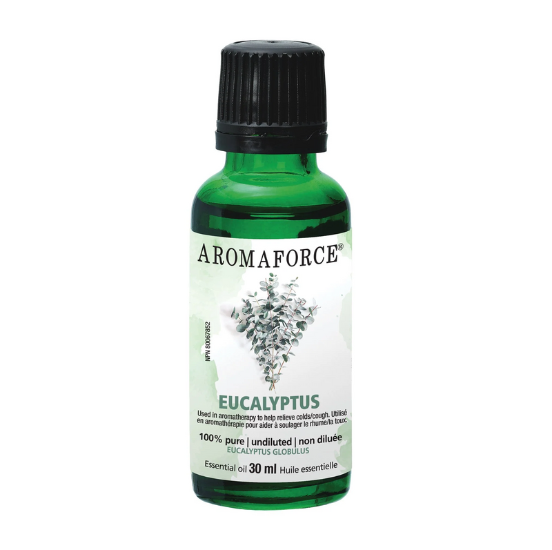 Eucalyptus Oil