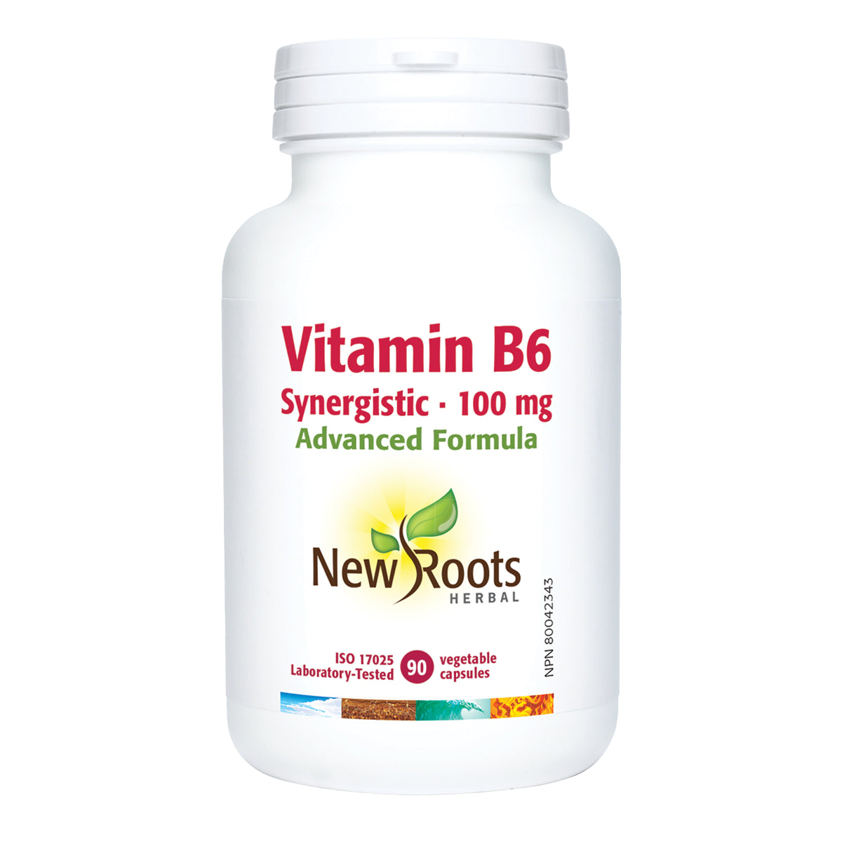 Vitamin B6 Synergistic 100mg