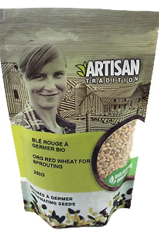 Organic Red Wheat for Sprouting