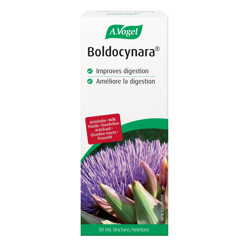 Boldocynara