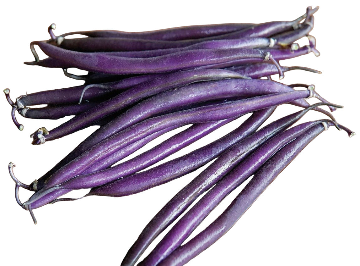 Organic Purple Beans