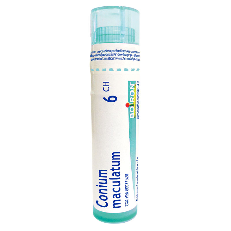 Conium Maculatum 6Ch