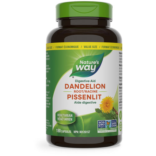 Dandelion Root