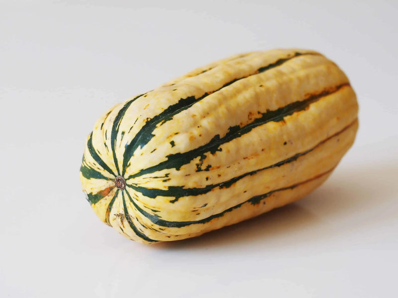 Organic Delicata Squash