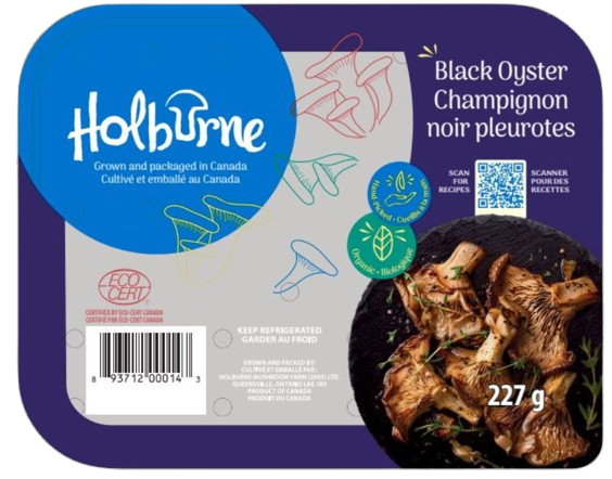 Organic Black Oyster Mushroom