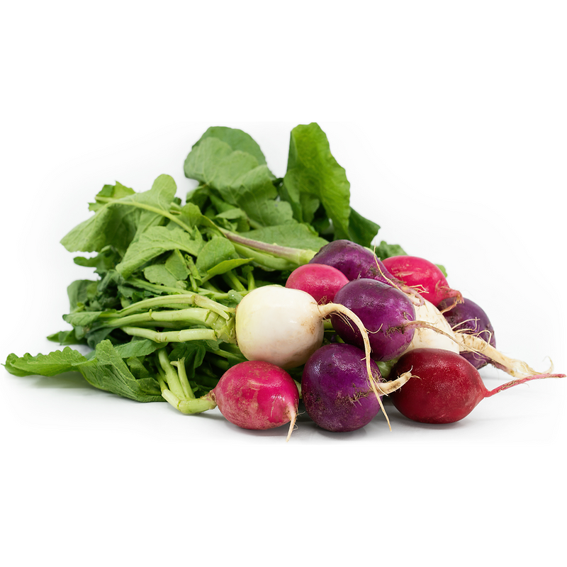 Organic Easter Egg Radish