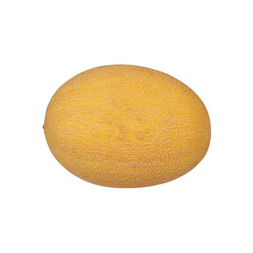 Organic Hami Melon
