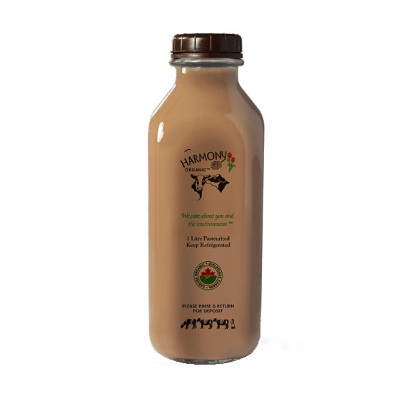 Organic glass bottle chocolate milk