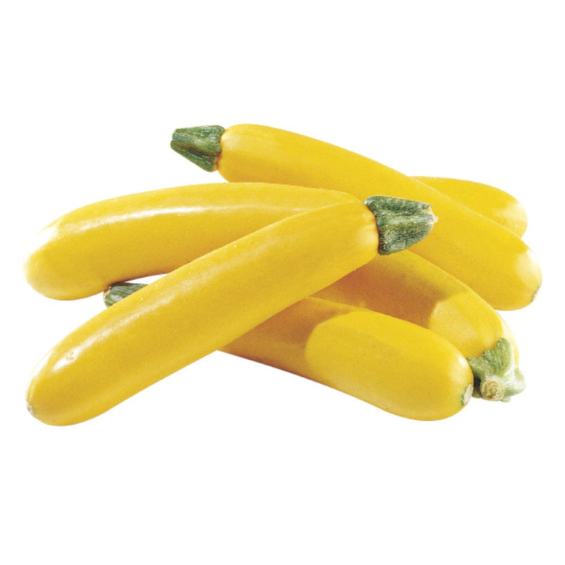 Organic Yellow Zucchini