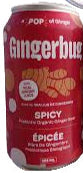 Spicy Prebiotic Organic Ginger Beer