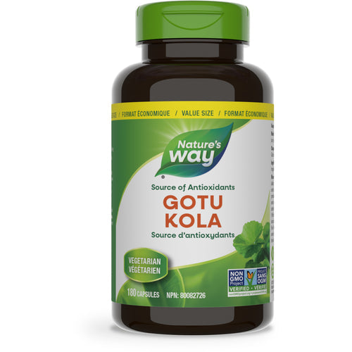 Gotu Kola Herb