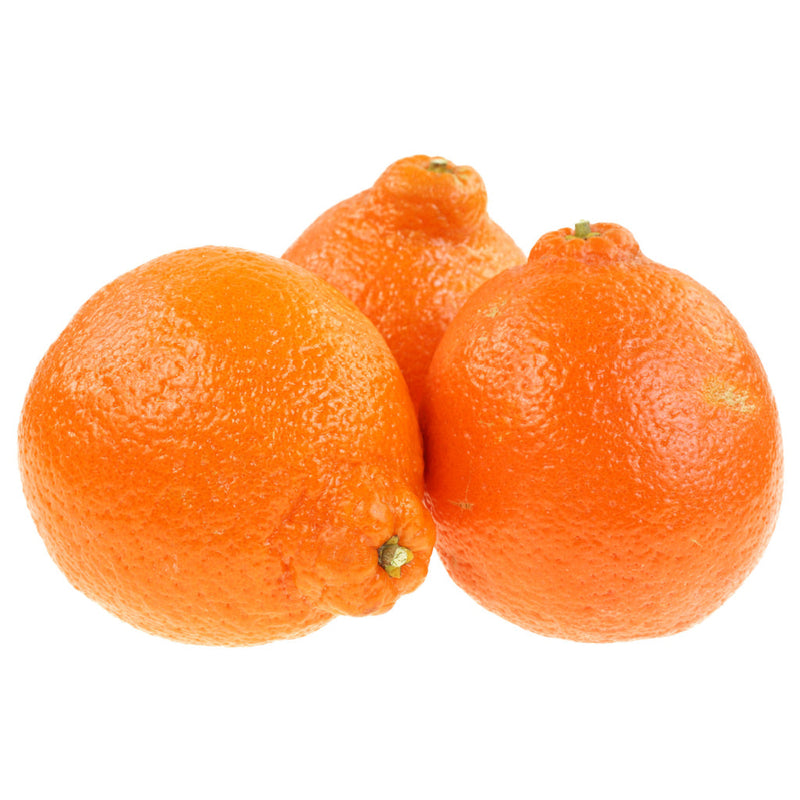 Organic Minneola Oranges