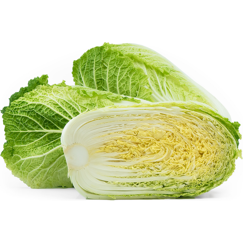 Organic Napa Cabbage