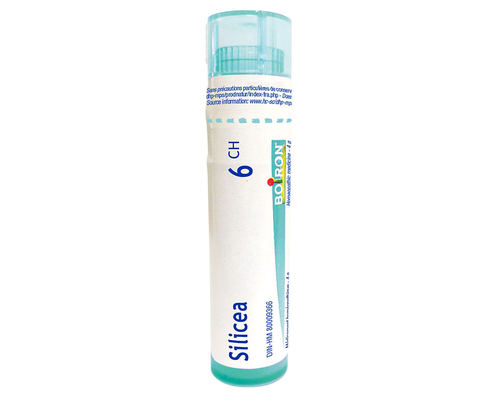 Silicea 6Ch